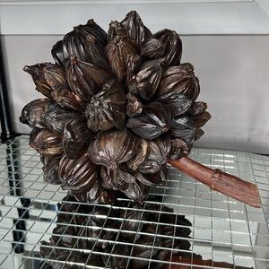 Dried Large Nipa Palm Fruit Cluster - Fully Intact
